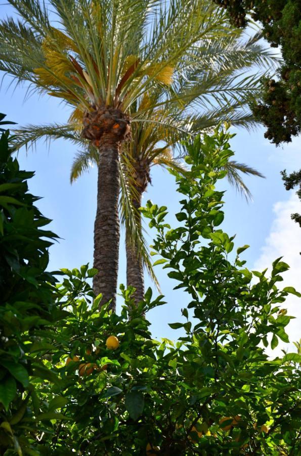 Yellow Jasper - Gemstone Getaway Marbella Exterior foto